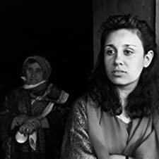 De Zwijgende Reiziger (1994) afişi