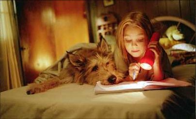 Because Of Winn-dixie fotoğrafı