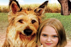 Because Of Winn-dixie Fotoğrafı