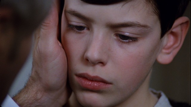 Fanny ve Alexander Fotoğrafı