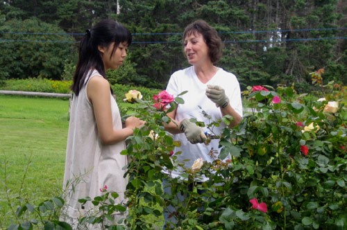 Looking For Anne fotoğrafı