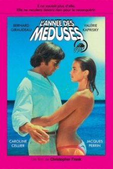 Plaj Aşıkları (1984) afişi