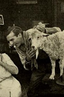 A Stubborn Cupid (1912) afişi