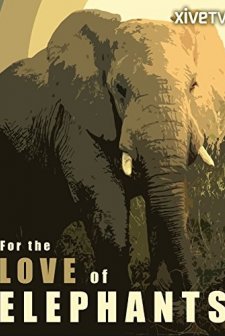 For The Love Of Elephants (2010) afişi
