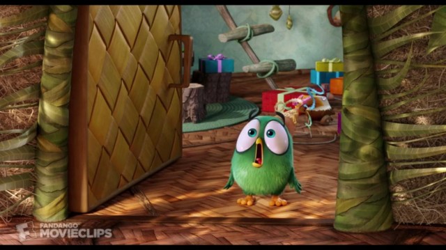 Angry Birds fotoğrafı