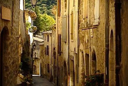 Kiss The Frog Fotoğrafı