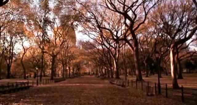 Vanilla Sky Fotoğrafı