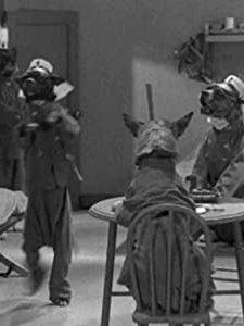 Love-tails Of Morocco (1931) afişi