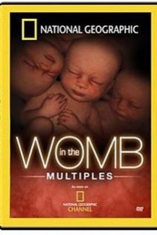 Anne Karnında Ikizler,üçüzler,dördüzler afişi