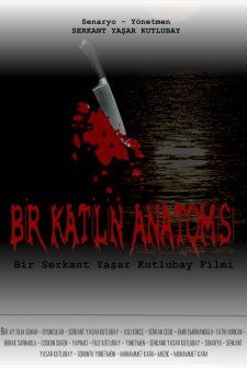 Bir Katilin Anatomisi (2010) afişi