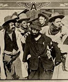 Calamity Anne, Detective (1913) afişi