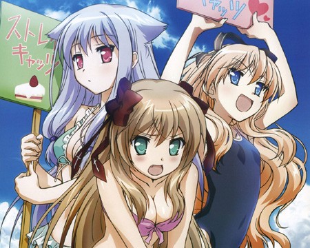 Mayoi Neko Overrun! Fotoğrafı