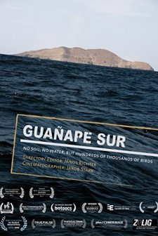 Guañape Sur (2010) afişi