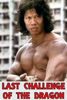 Long Jia Jiang (1976) afişi