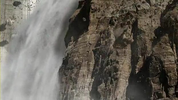 İnsandan Sonraki Yaşam Fotoğrafı