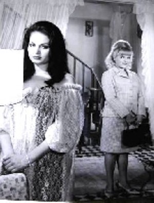 Siyah Gül Fotoğrafı