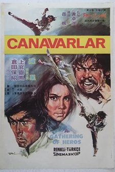 Gan Jin Sha Jue (1973) afişi