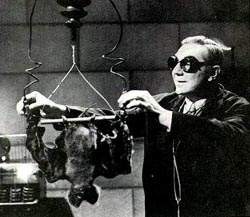 Katil Yarasa fotoğrafı