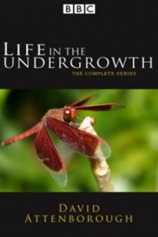 Hayat: Ağaçların Altındaki Böcekler (2005) afişi