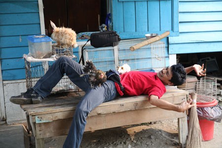 Hayvanat Bahçesi fotoğrafı