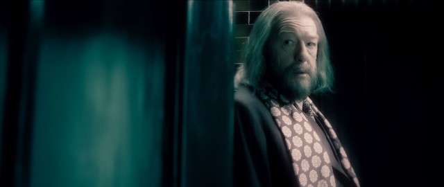 Harry Potter ve Melez Prens Fotoğrafı