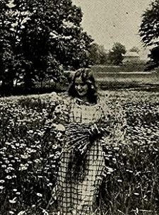 Under The Daisies; Or, As A Tale That ıs Told (1913) afişi