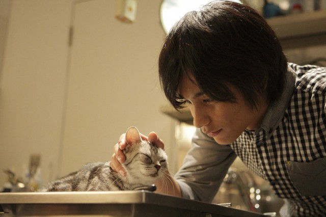 Kimi To Boku fotoğrafı