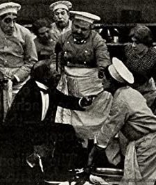 Auntie's Affinity (1913) afişi