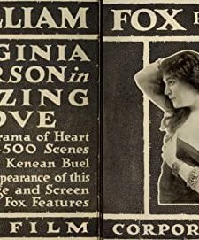 Blazing Love (1916) afişi