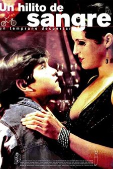 Un Hilito De Sangre (1995) afişi
