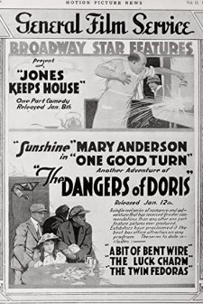 Jones Keeps House (1917) afişi
