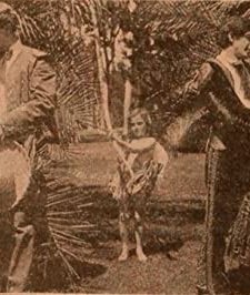 Cupid's Comedy (1910) afişi