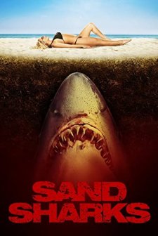 Kumdaki Dehşet (2012) afişi