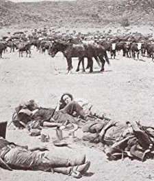 The Raiders From Double L Ranch (1913) afişi