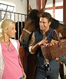 Der Mann Im Heuhaufen (2007) afişi