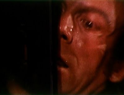 Nella Stretta Morsa Del Ragno Fotoğrafı