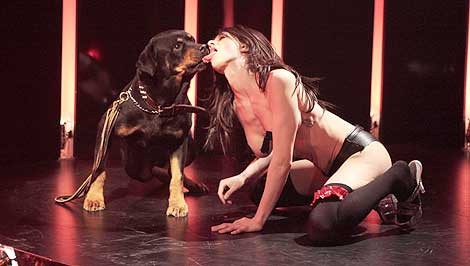 Go Go Tales Fotoğrafı