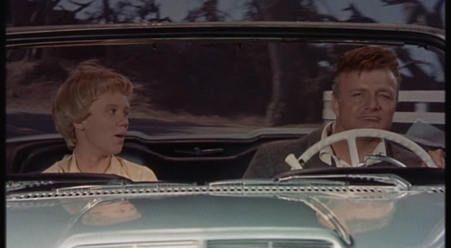 The Parent Trap Fotoğrafı