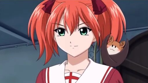 Rosario To Vampire Capu Fotoğrafı