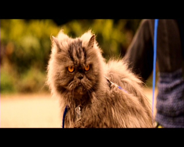 Kızlar Erkeklerden Ne İster? Fotoğrafı