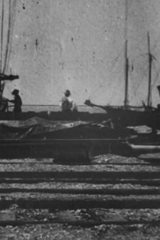Bird's-eye View Of Dock Front, Galveston (1900) afişi