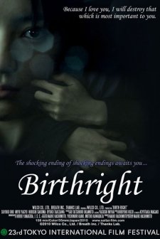 Birthright (2011) afişi