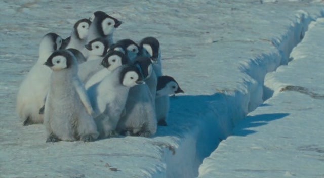 İmparatorun Yolculuğu Fotoğrafı