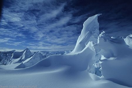 İmparatorun Yolculuğu Fotoğrafı