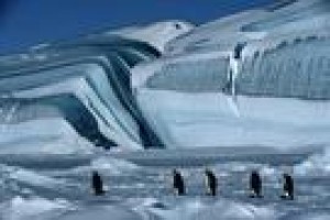 İmparatorun Yolculuğu Fotoğrafı