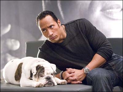 Oyun Bozan Fotoğrafı