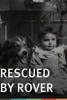Rescued By Rover (1905) afişi