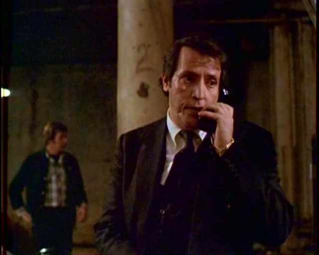 Gece Şahini Fotoğrafı