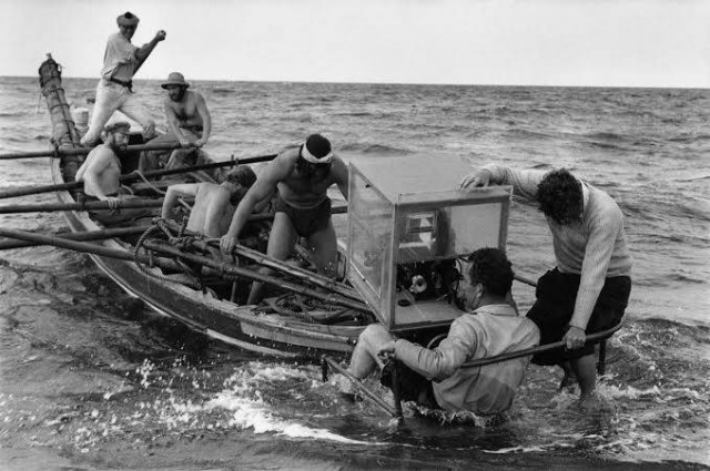 Beyaz Balina Fotoğrafı