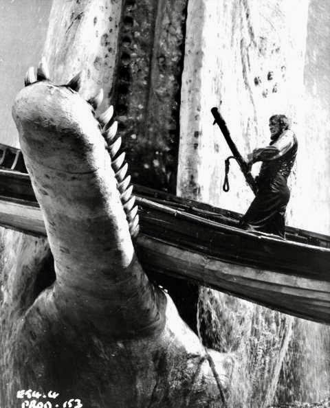 Beyaz Balina Fotoğrafı